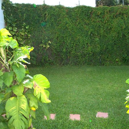 Beautiful Jungle House On A Strategic Location Villa Cancun Ngoại thất bức ảnh