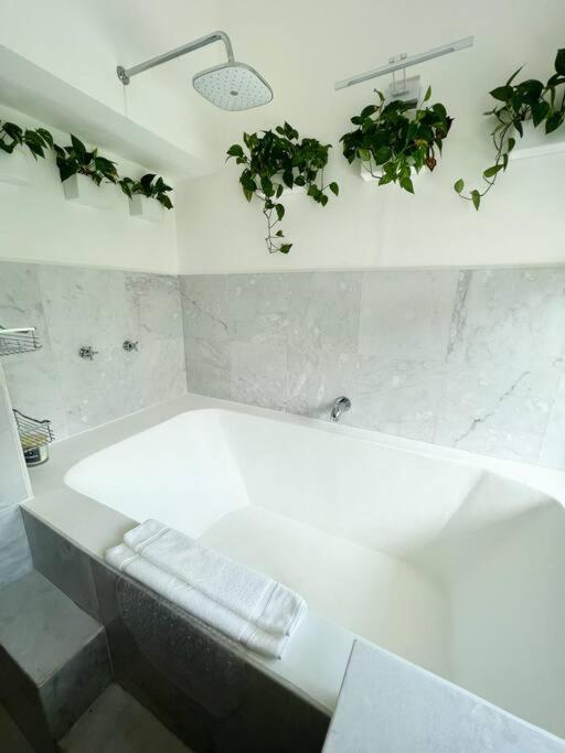 Beautiful Jungle House On A Strategic Location Villa Cancun Ngoại thất bức ảnh