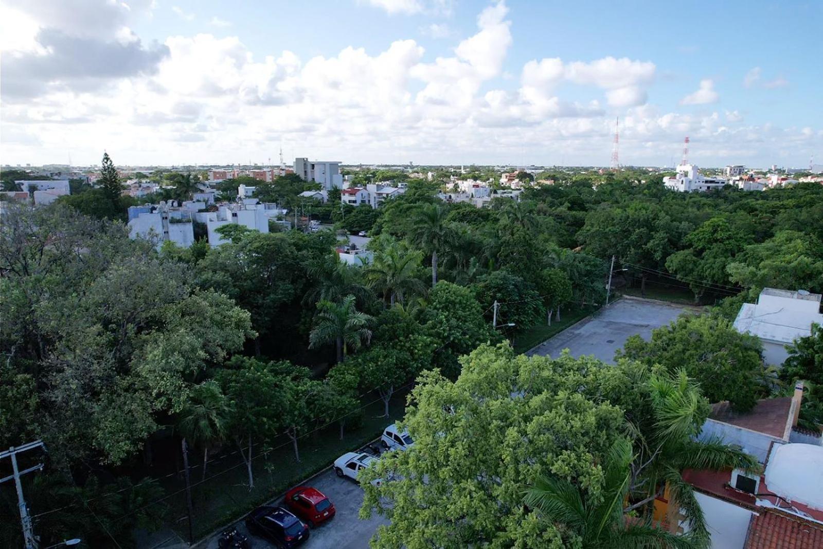 Beautiful Jungle House On A Strategic Location Villa Cancun Ngoại thất bức ảnh