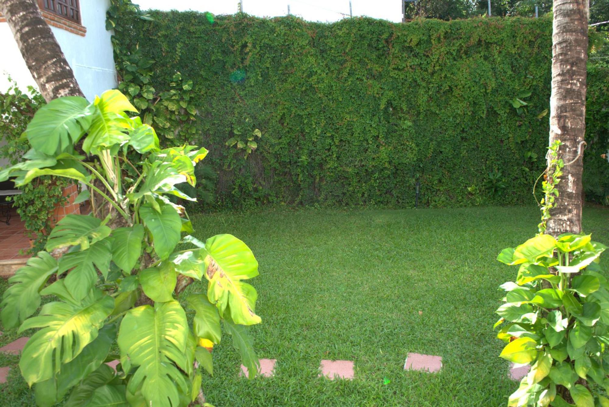 Beautiful Jungle House On A Strategic Location Villa Cancun Ngoại thất bức ảnh
